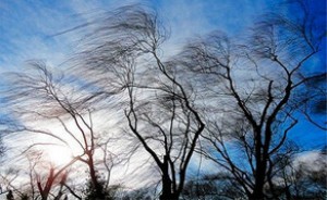 İstirahət günü güclü külək əsəcək, şimşək çaxacaq, dolu düşəcək