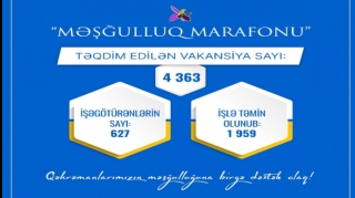 1959 nəfər şəhid ailəsi üzvü və qazi işlə təmin olunub 