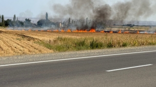 Tovuzda yanğına səbəb olan şəxs saxlanıldı 