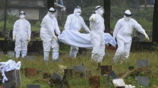 Azərbaycanda Nipah virusuna yoluxma halları var? - RƏSMİ 