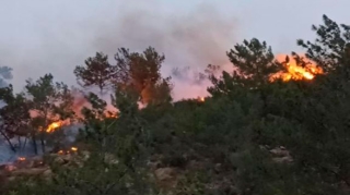 FHN əhaliyə çağırış etdi