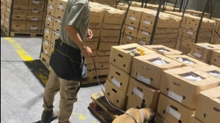 Limandakı gəmidə 1 ton 700 kiloqram kokain aşkarlanıb 