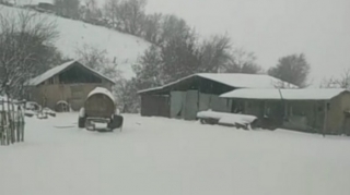 Güclü qar səbəbindən Cəlilabad-Yardımlı yolu bağlanıb, bəzi yaşayış məntəqələri işıqsız qalıb  - FOTO