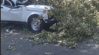 Palıd ağacı hərəkətdə olan "Niva"nın üstünə aşdı, ölən və yaralananlar var - FOTO