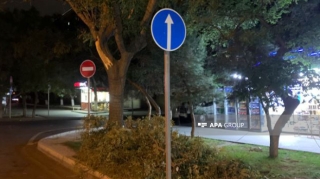 Bakıda ağac paytaxt sakinin üzərinə düşərək onu komatoz vəziyyətinə salıb  - VİDEO