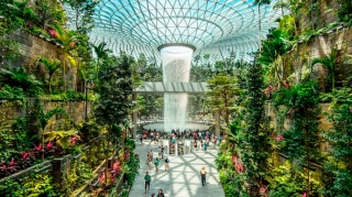 Qapalı şəlalə, cakuzi, kəpənək və bambuk bağları... - Dünyanın ən yaxşı aeroportu - FOTOLAR 