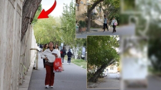 Sakinlər üçün təhlükə mənbəyi olan ünvanlar - "Qorxu içində gəzirik" - FOTOLAR 