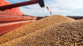 Qazaxıstan avtomobil yolu ilə buğda idxalına qadağa qoyub 