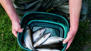 Qanunsuz balıq ovlayan şəxs barəsində akt tərtib olunub