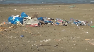 Çimərlikdə antisanitar vəziyyət: Günahkar kimdir? - VİDEO