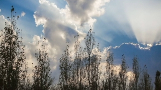 Sabahın hava proqnozu açıqlandı