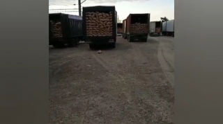 Rusiya sərhəddində acınacaqlı vəziyyət:  sürücülər imdad diləyir   - VİDEO