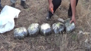 Masallı sakinindən 4 kq narkotik götürülüb   - FOTO