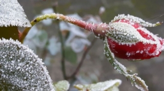 Sabah 10 dərəcə şaxta olacaq - HAVA PROQNOZU 