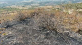 Füzuli və Xocavənddə yanğın törədənlər cəzalandırıldı   - FOTO