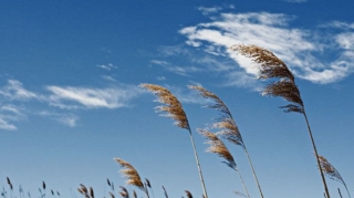 Sabahın hava proqnozu