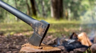 Təbiətə 300 min manata yaxın ziyan dəyib 