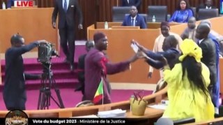 В Сенегале двух депутатов осудили за драку  - ВИДЕО