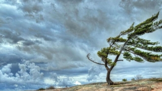 Güclü külək əsəcək - XƏBƏRDARLIQ 