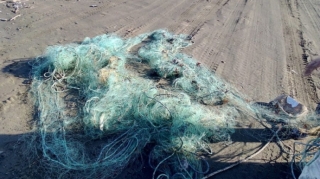 Nazirlik:  Su hövzələrindən 685 metr uzunluğunda 10 ədəd sintetik tor götürülüb