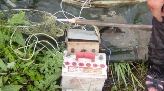 Tovuzda elektrik cərəyanı 30 yaşlı kişini vuraraq öldürüb 