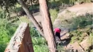 Bu görüntülərlə bağlı cinayət işi açıldı  - VİDEO