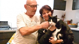 Yanacaqdoldurma məntəqəsində unudulan pişik evə qayıtmaq üçün 250 kilometr qət etdi 