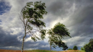 Sabah hava küləkli olacaq - XƏBƏRDARLIQ 