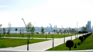 “Ağ Şəhər”də ağaclar gecə ilə MƏHV EDİLDİ - FOTO 