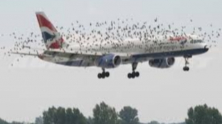 Vitse-prezidentin olduğu təyyarə quşla toqquşdu  - ANBAAN VİDEO