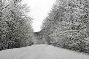 Güclü qar yolları iflic edib