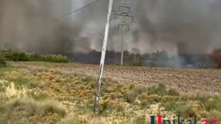 Samuxda açıq ərazidə yanğın başladı - FOTO