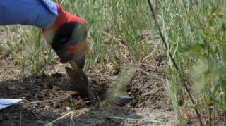 Lənkəranda dəniz kənarında tank əleyhinə mina tapılıb 