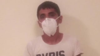 İsmayıllıda mal-qara oğurlayan şəxslər saxlanılıblar - FOTO