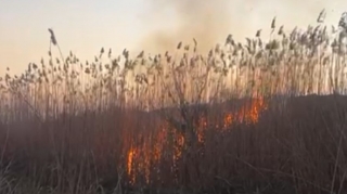 Cəbrayılda yanğın törədən şəxs saxlanıldı   - FOTO