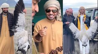 Ərəblər Azərbaycanda nadir quş növlərini tələf edirlər  - FOTO - VİDEO