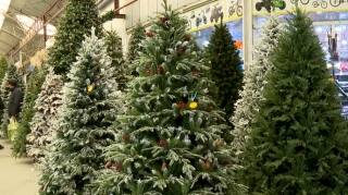 Avtomobil qiymətinə satılan bayram "yolka"ları - VİDEO 