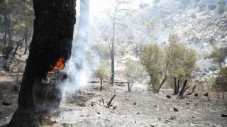 İbradi istisna olmaqla Antalyanın hər yerində yanğınlar söndürülüb