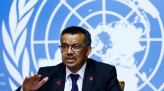 ÜST rəhbəri: “Peyvəndin bölünməsində dəhşətli bərabərsizlik var”