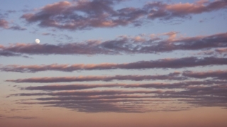 Sabahın hava proqnozu açıqlanıb