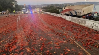 В США из-за ДТП с грузовиком на трассе оказались около 150 000 помидоров