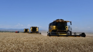Azərbaycandakı aqroparklarda bu il 152 min tondan çox buğda istehsal edilib  - FOTO