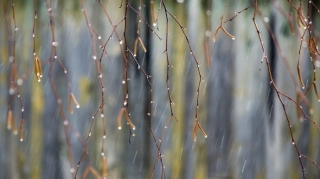 Bazar günü Bakıda yağış yağacaq, külək əsəcək
