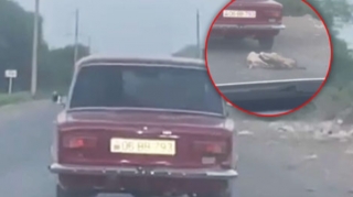 İtləri avtomobilə bağlayıb sürüyən şəxs müəyyən edildi - YENİLƏNİB - VİDEO 