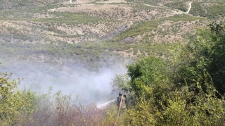 Qəbələdə mürəkkəb relyefli dağlıq ərazidəki yanğın söndürülüb