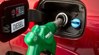 Dizellə bağlı rəsmi məlumat 