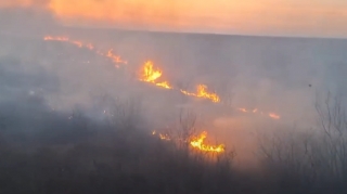 Ucarda açıq ərazidə yanğın baş verdi   - VİDEO