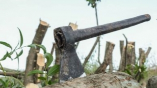 Ər arvadını balta ilə qətlə yetirib - Sabirabadda  