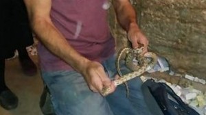 Bibliyada axirətin başlanğıcına işarə edilən üçüncü hadisə həyata keçdi – VİDEO