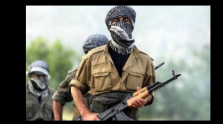 Азербайджанская армия уничтожила в Карабахе еще 12 террористов PKK
